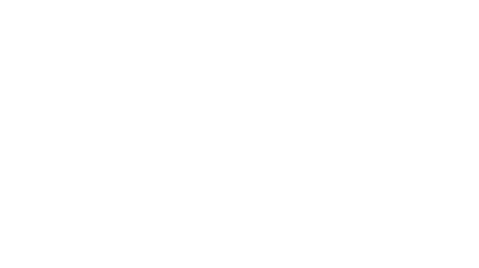 Bespoke Revolution